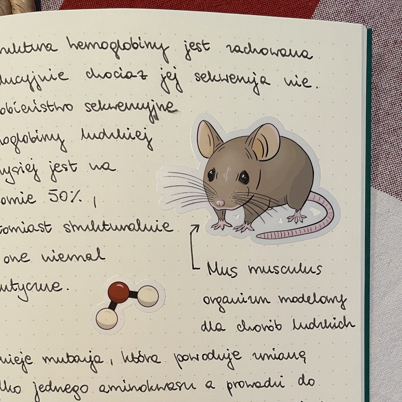 Naklejka ze zwierzątkiem
