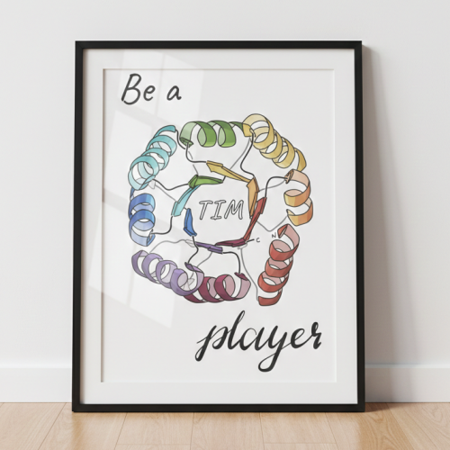 be a team player