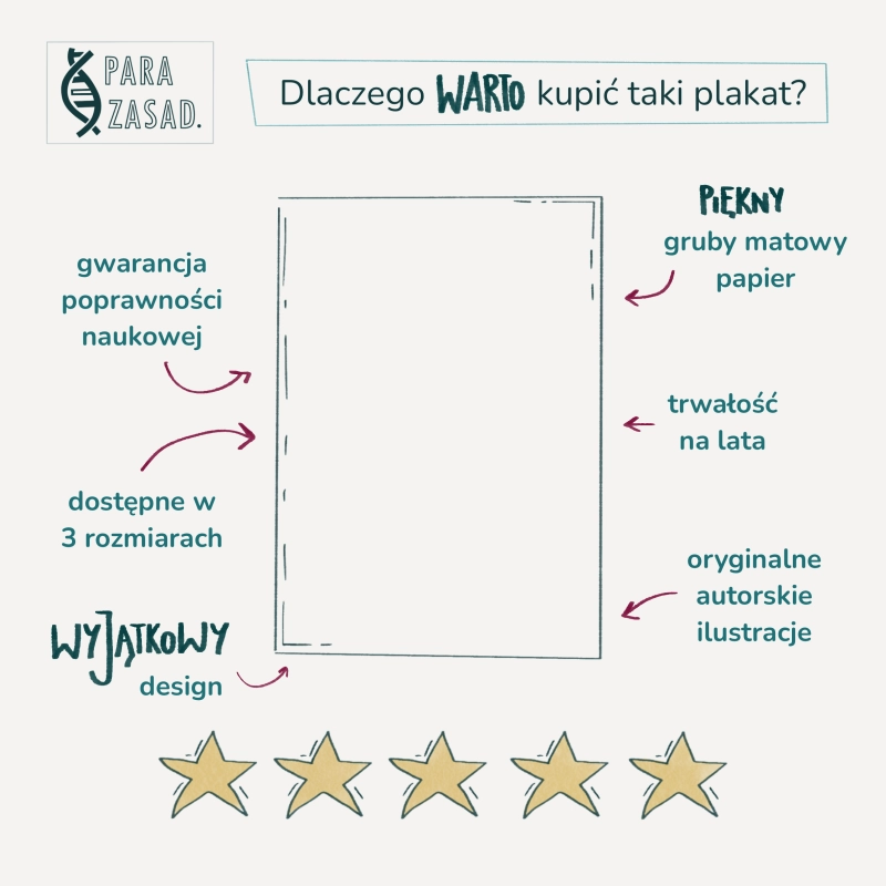 Dlaczego warto kupić plakat biologiczny?