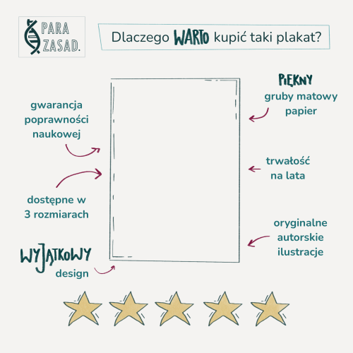 Dlaczego warto kupić plakat biologiczny?