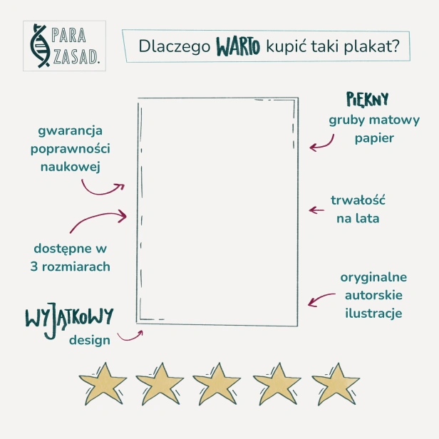 Dlaczego warto kupić plakat biologiczny?