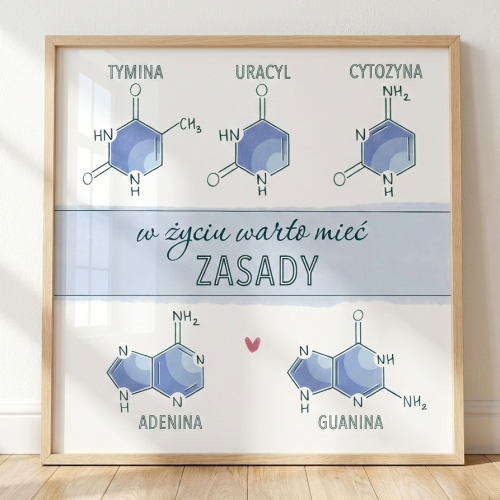 Plakat edukacyjny zasady azotowe DNA RNA projekt Para Zasad