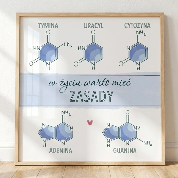 Plakat edukacyjny zasady azotowe DNA RNA projekt Para Zasad