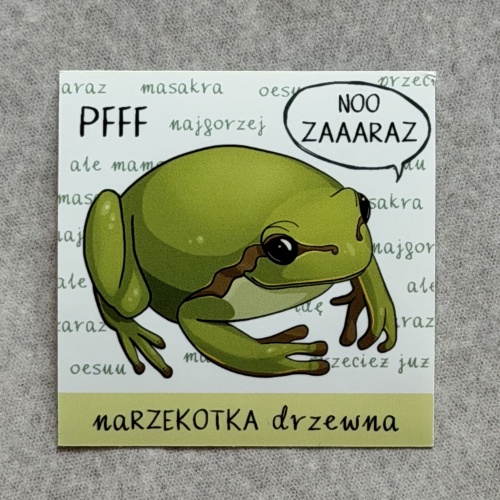 Narzekotka drzewna, czyli żabka maruda.