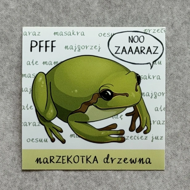 Narzekotka drzewna, czyli żabka maruda.