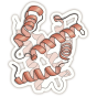 hemoglobina.png