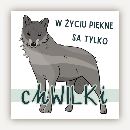 chwilki.webp