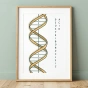 Plakat naukowy przedstawiający model podwójnej helisy DNA Watsona i Cricka w minimalistycznym stylu