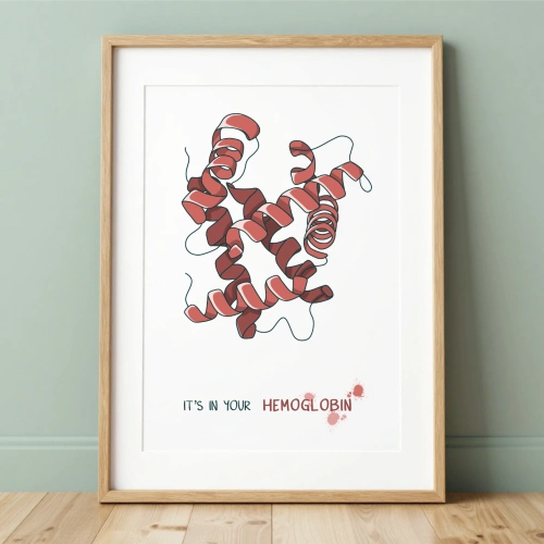 mockup_hemoglobin2.webp
