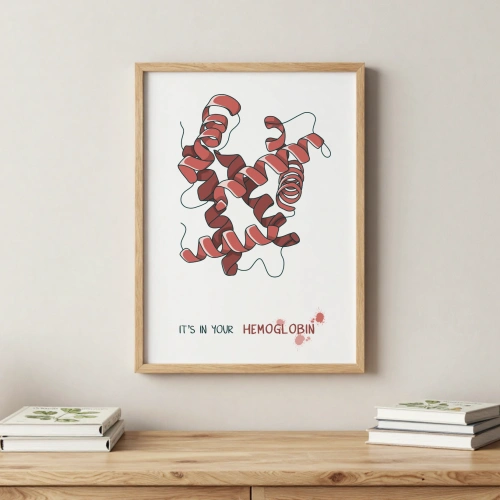 mockup_hemoglobin.webp