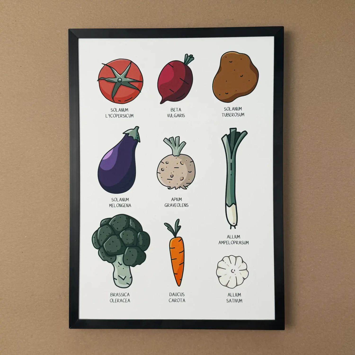 Plakat botaniczny z ilustracjami warzyw z łacińskimi nazwami (pomidor, ziemniak, burak, por, seler, czosnek, bakłażan, marchewka, brokuł) z subtelnie ukrytymi minami.