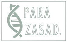Para Zasad